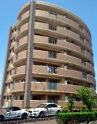 �N���b�V�F���h���F�O��